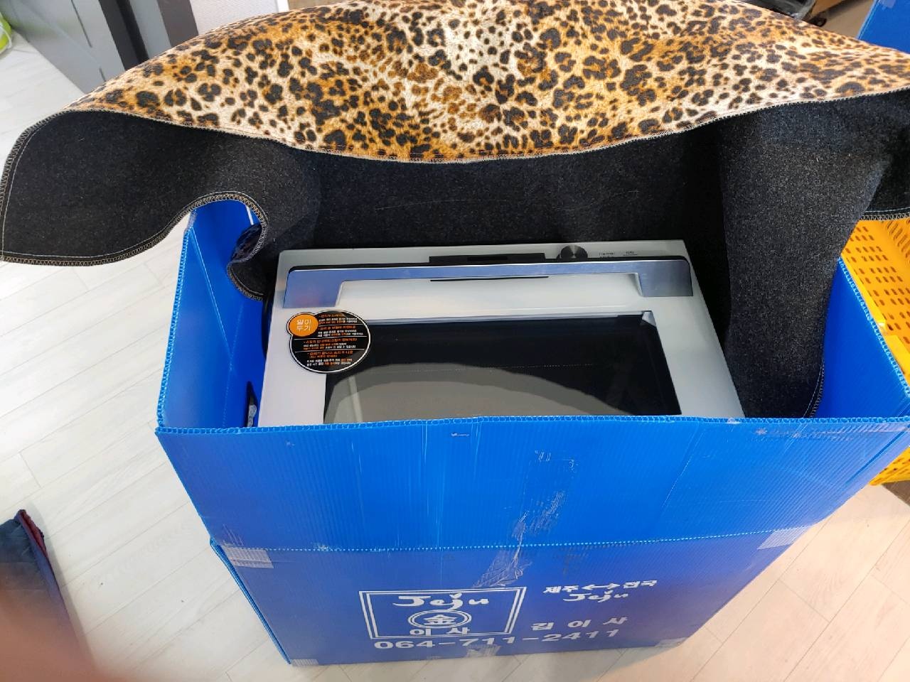 제주원룸이사